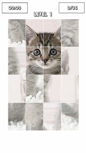 Kitten Puzzles Free截图1