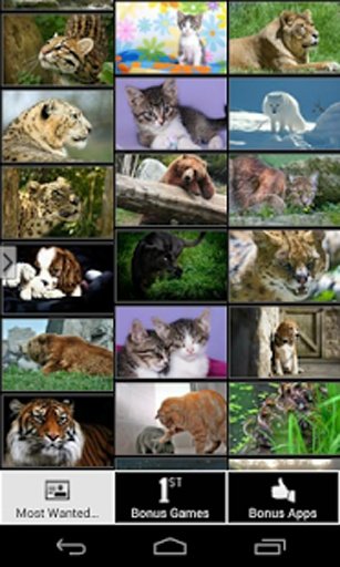 Most Wanted Animal Wallpapers截图7