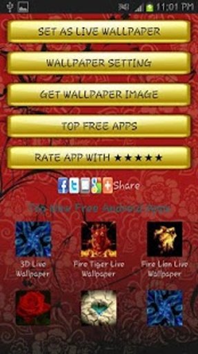 Photography Live Wallpaper截图10