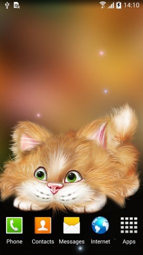 Funny Cat Live Wallpaper截图1