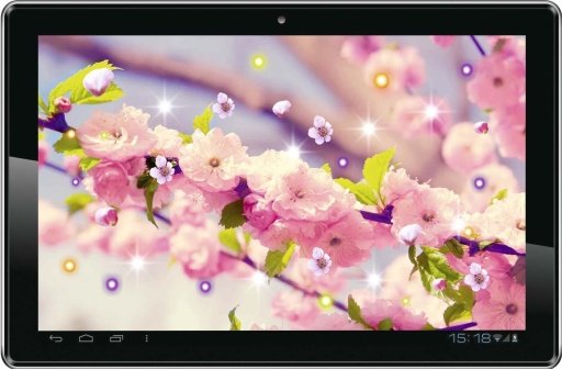 Best Sakura HD live wallpaper截图4