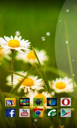 Xperia Дождь Живые Обои截图3