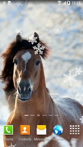 Cute Winter Wallpaper截图2