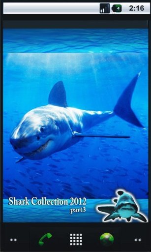 Blood Shark HD Live Wallpaper截图3