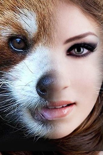 Animal Face Photo Maker截图6