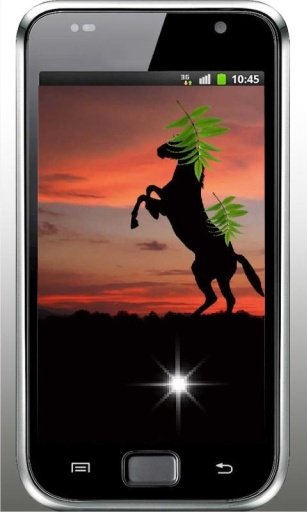 Horses Sunset live wallpaper截图2