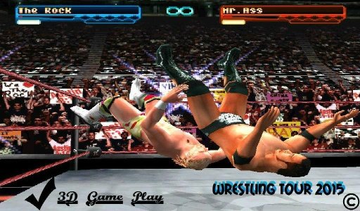 Wrestling Tour 3D 2015截图1