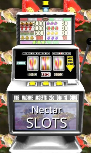 Nectar Slots - Free截图1