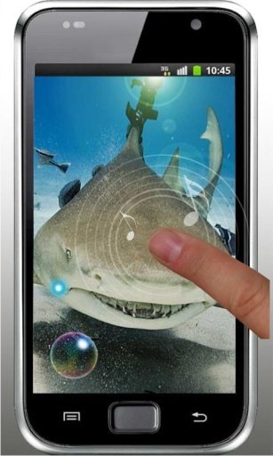 Sharks Free live wallpaper截图3