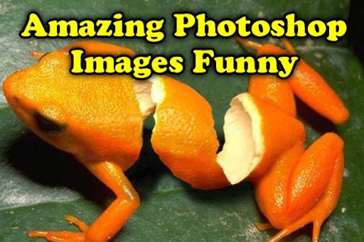 Amazing Photoshop Images Funny截图2