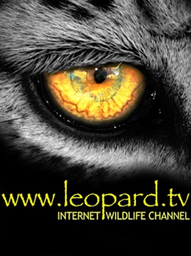 Leopard TV截图1