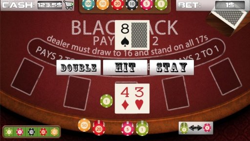 BlackJack Casino FREE &amp; FAST截图4