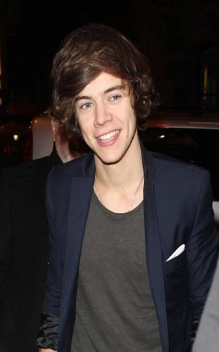 Harry Styles Games截图2