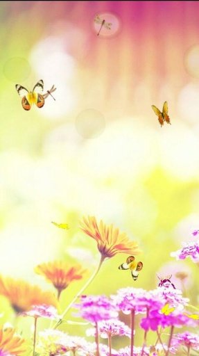 Flowers and Butterflies LWP截图3