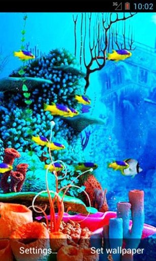 Sea World Live Wallpaper截图1