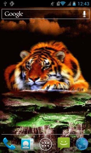 Fiery tiger Live Wallpaper截图2