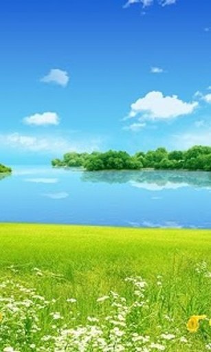 BEACH AND SUMMER WALLPAPERS截图3