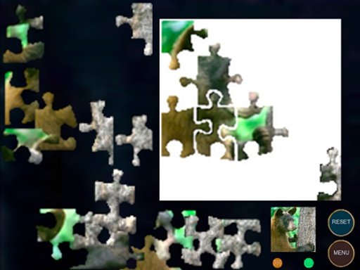 Brown Bear Jigsaw Puzzle截图4