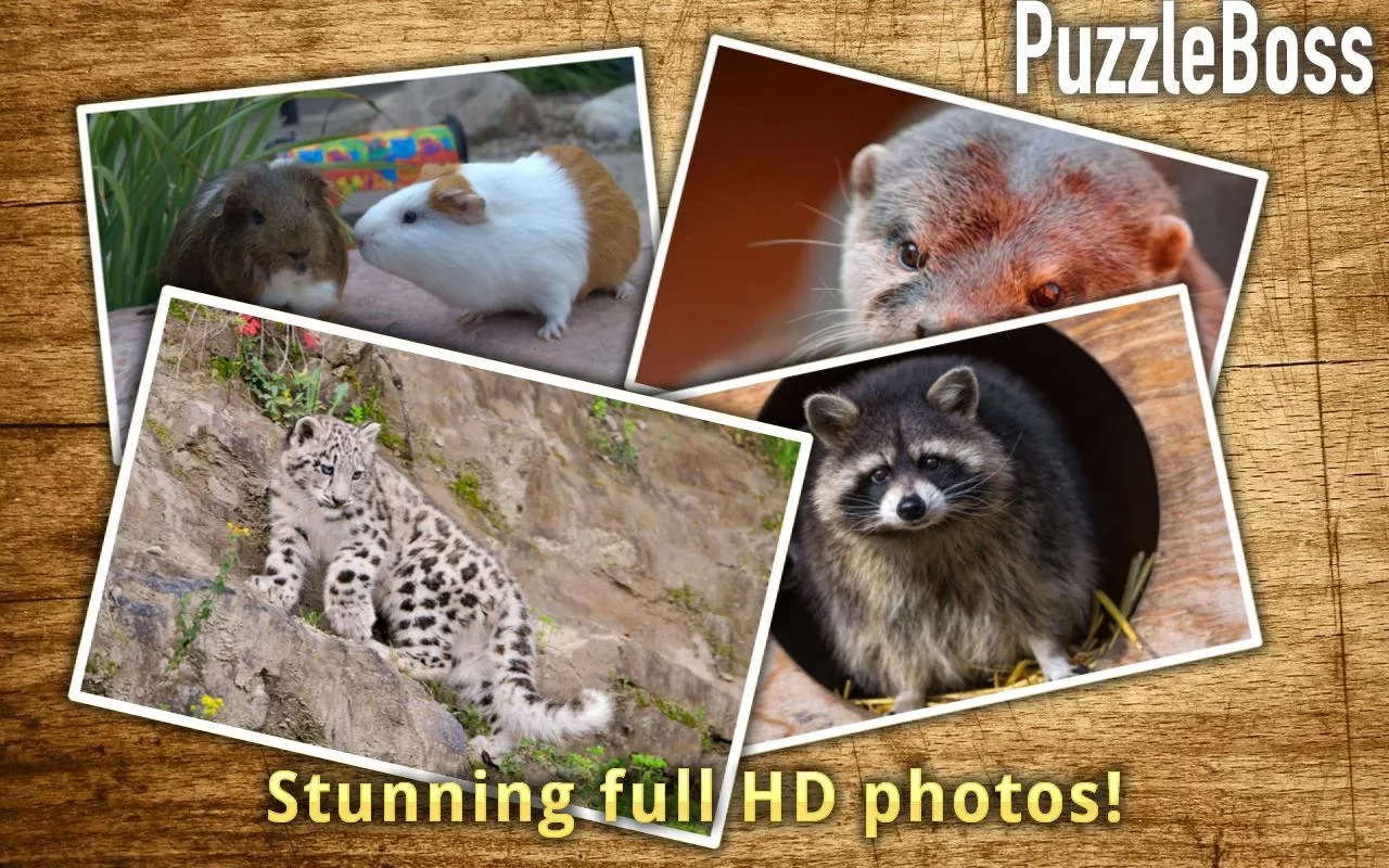 Cute Animal Jigsaw Puzzles截图9