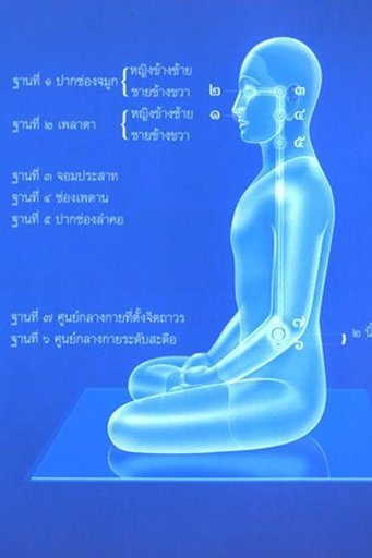 The beginning of Meditation截图1