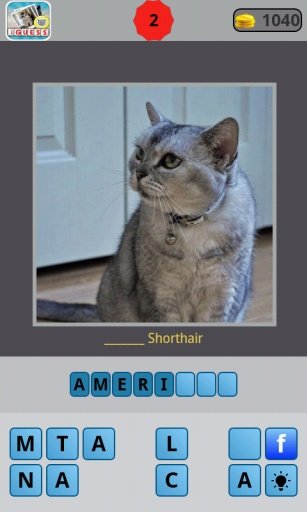 Guess for Cat Breeds截图11