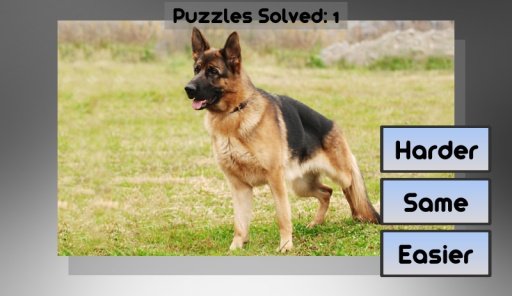 German Shepherd Puzzle Game截图5