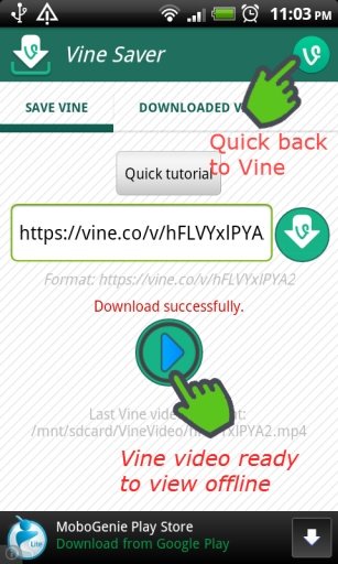 VineSaver (save Vine video)截图3