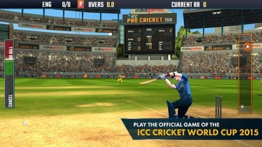 ICC Pro Cricket 2015截图4