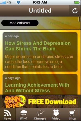 Stress -Anxiety -Depression.截图5