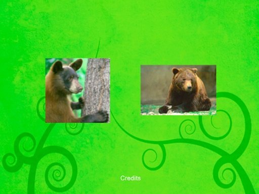 Brown Bear Jigsaw Puzzle截图3