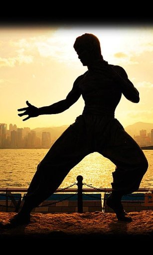 Bruce Lee Wallpapers截图3