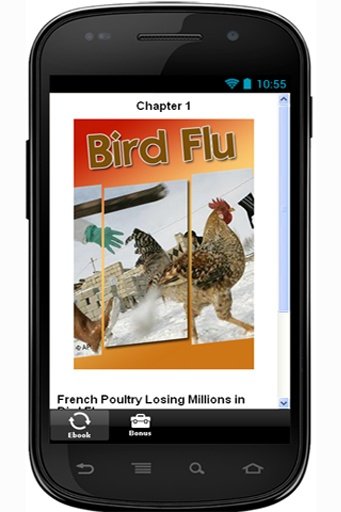 French Losing Bird Flu截图1