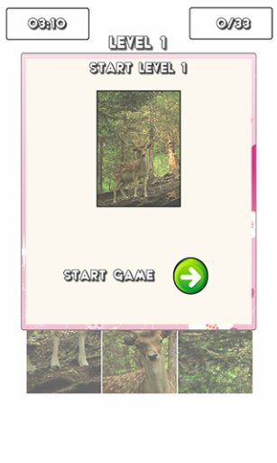 Forest Animals Puzzle!截图7