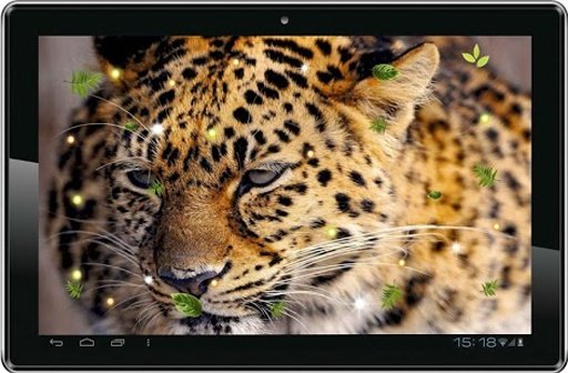 Jaguar Sounds live wallpaper截图6