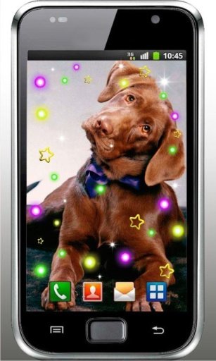 Friendly Dog live wallpaper截图3