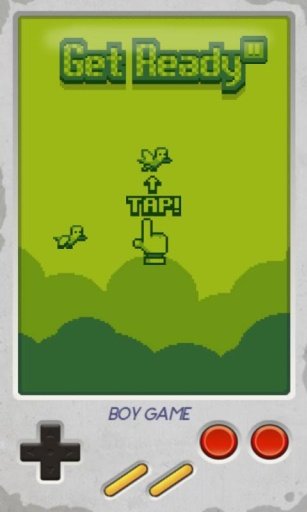 Boy Game Floppy Bird截图2