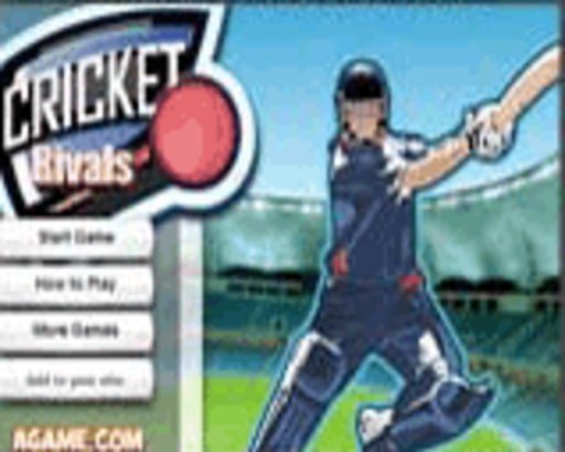 Cricket Games For Kids &amp; Boys截图2