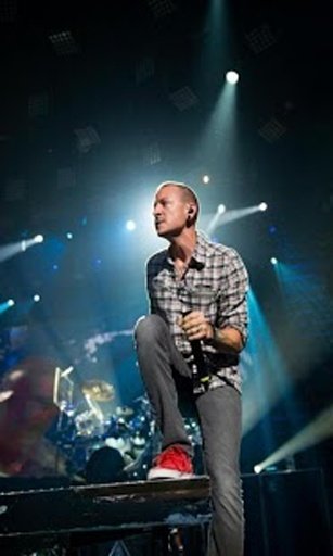 Linkin Park 2013 wallpaper截图3