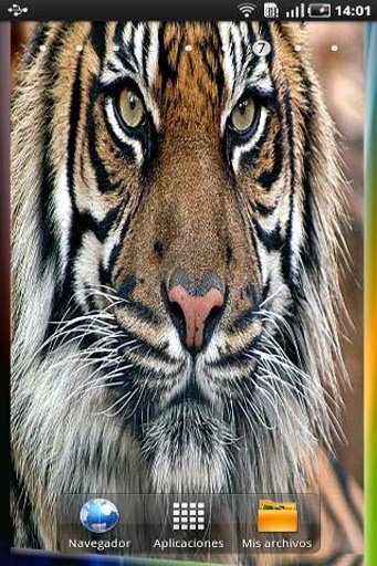 BigCats 3D Illusion LWP截图1