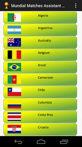 Mundial Matches Assistant 2014截图8