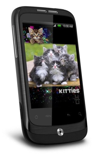 Kitty Cute HD Live Wallpaper截图4