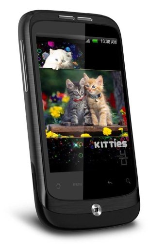 Kitty Cute HD Live Wallpaper截图3