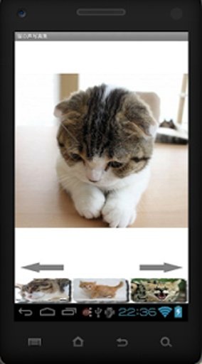 Cat Photo Sound Collection截图3