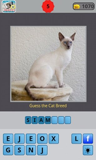 Guess for Cat Breeds截图7