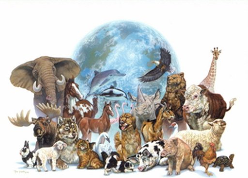 ANIMAL SONG截图4