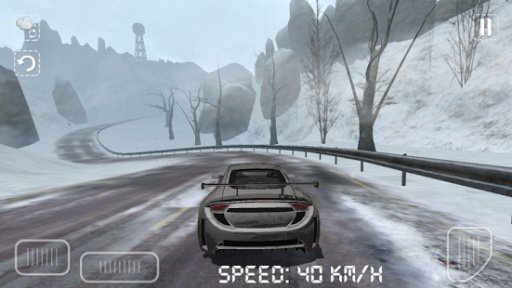 Winter Drive 3D截图3