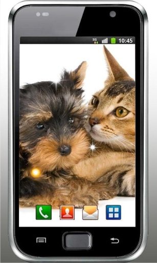 Puppy Best Free Live Wallpaper截图1