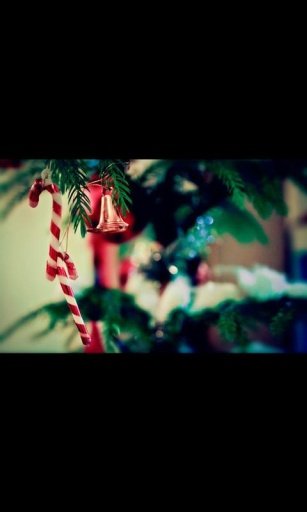 Christmas Hd Live Wallpaper截图5