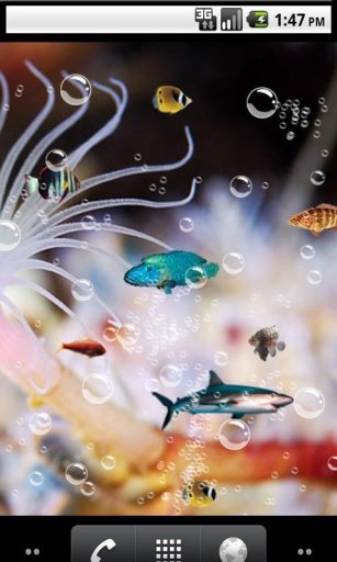 Top aquarium Live Wallpaper截图1