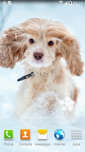 Cute Winter Wallpaper截图5